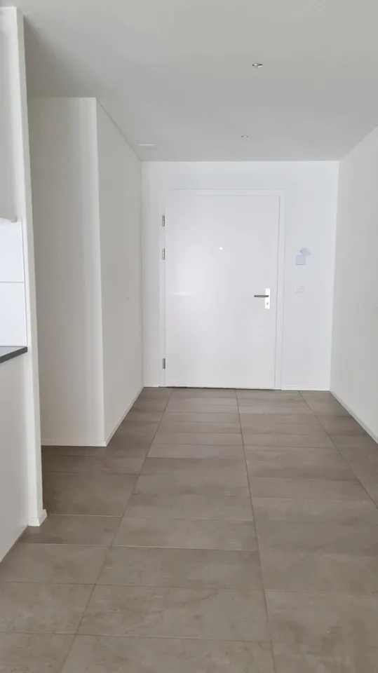 Modern spacious family apartment