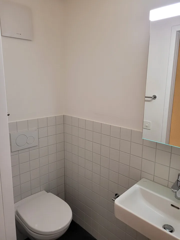 Charming 1-bedroom apartment in Wangen bei Olten