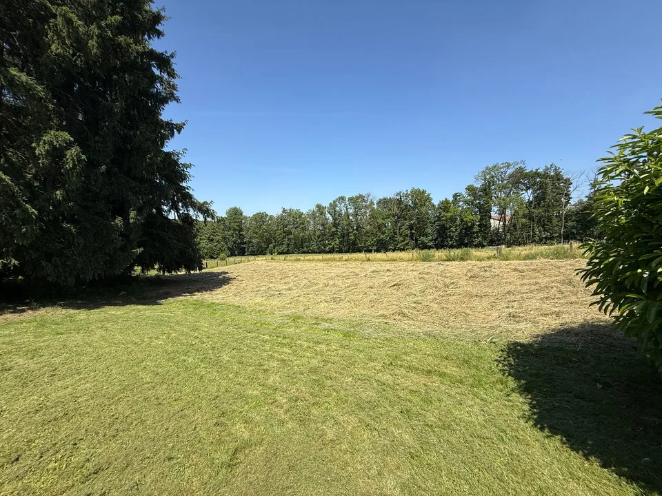 Réf: 11168*** Région frontalière, Sect. Hégenheim / Hagenthal: belle maison conviviale env. 130 m² – Foto 16 von 30