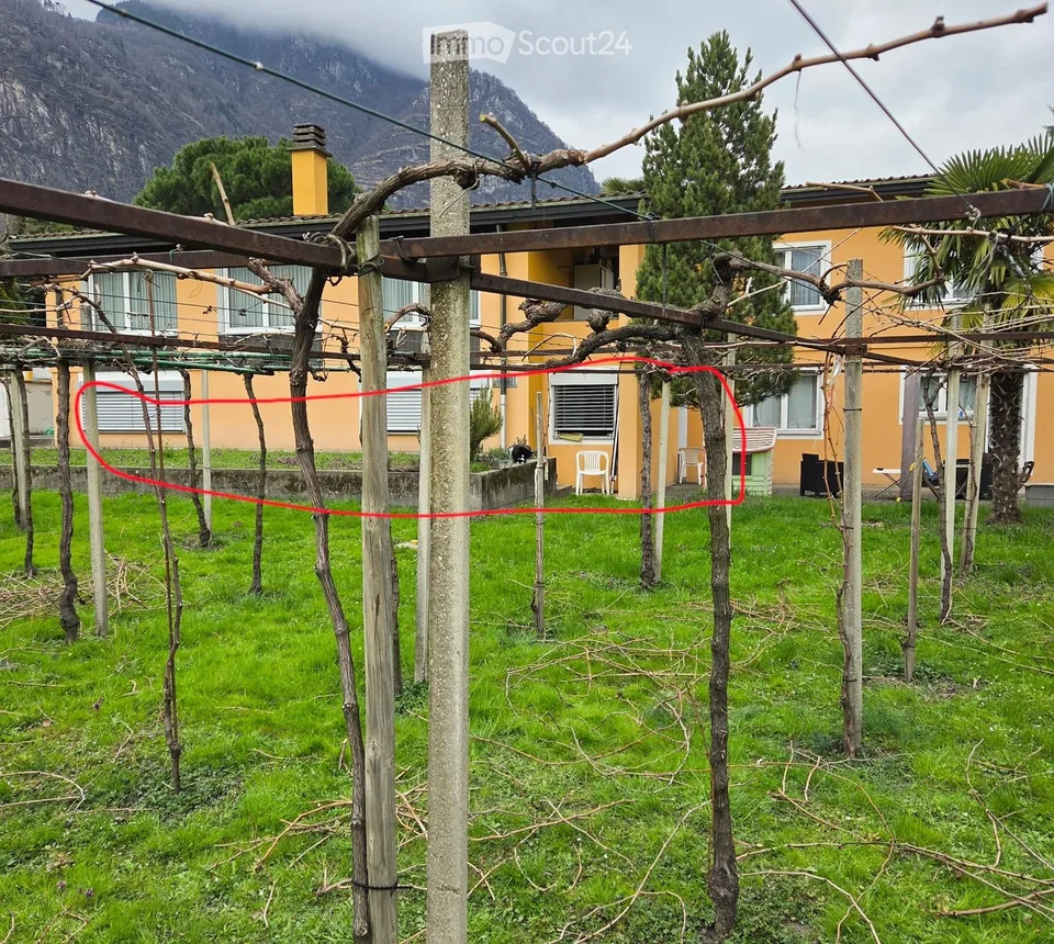 Appartement Biasca 2.5