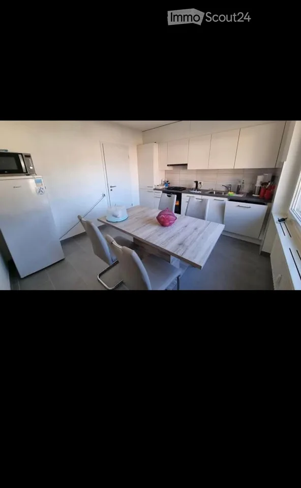 Sous-location 4.5 grand et lumineux - Lodrino