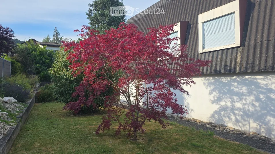 Villa with large garden of 814 m²