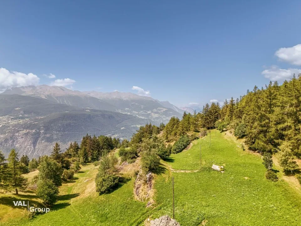 A casa nel silenzio della natura - appartamento 3.5 locali a Salwald – foto 11 di 12