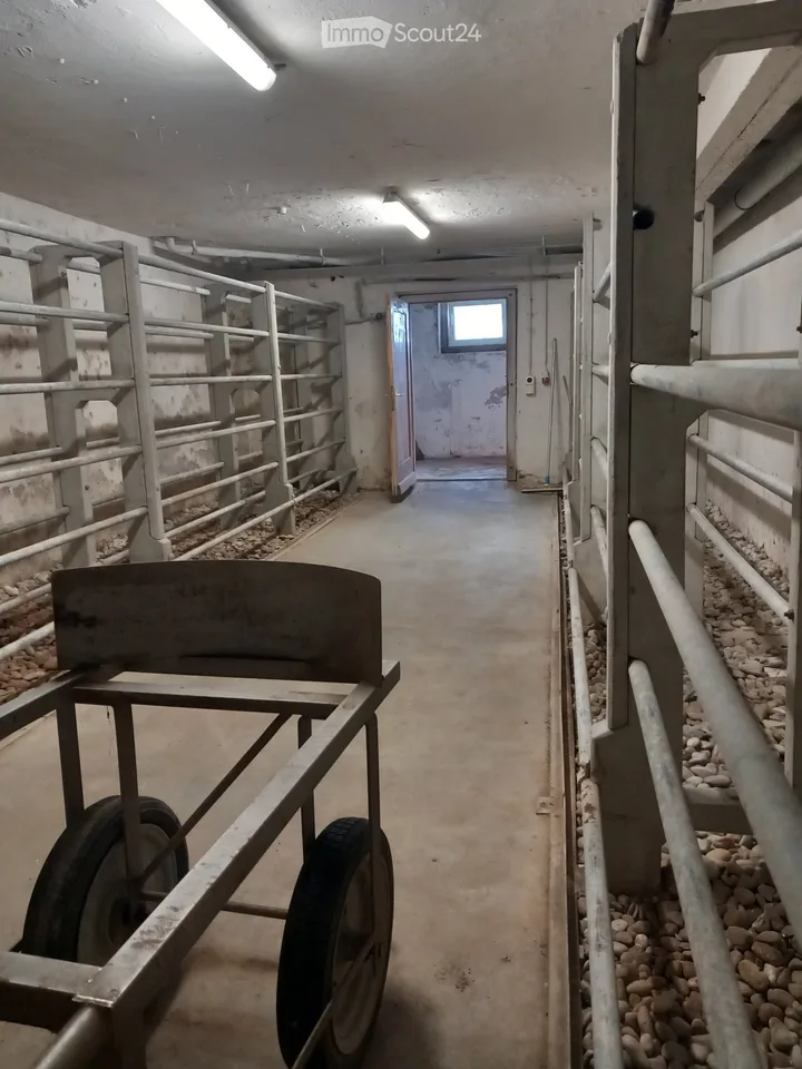 Grand cave / local de stockage avec bon accès