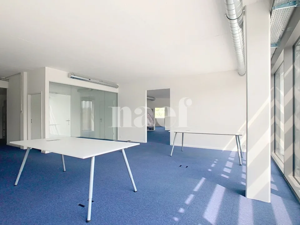 Modular offices in a recent building – photo 8 of 9