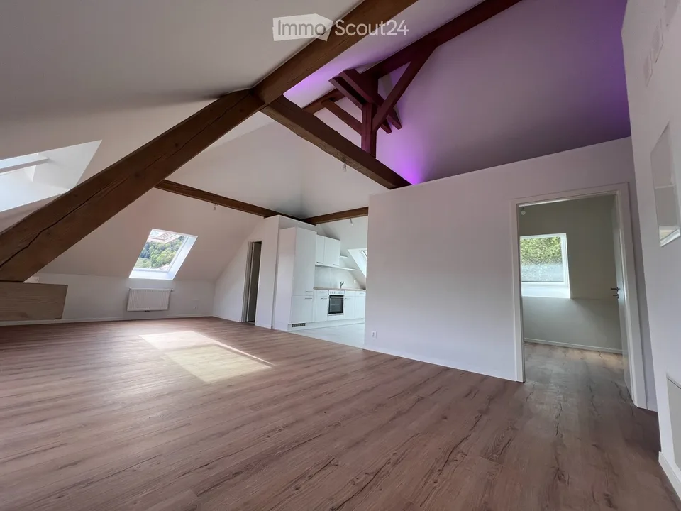 Magnifique appartement neuf - style loft - de 2,5 pièces