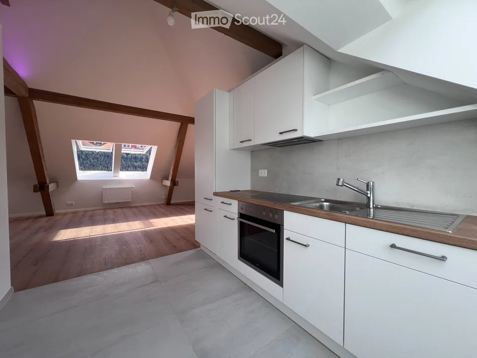 Magnifique appartement neuf - style loft - de 2,5 pièces