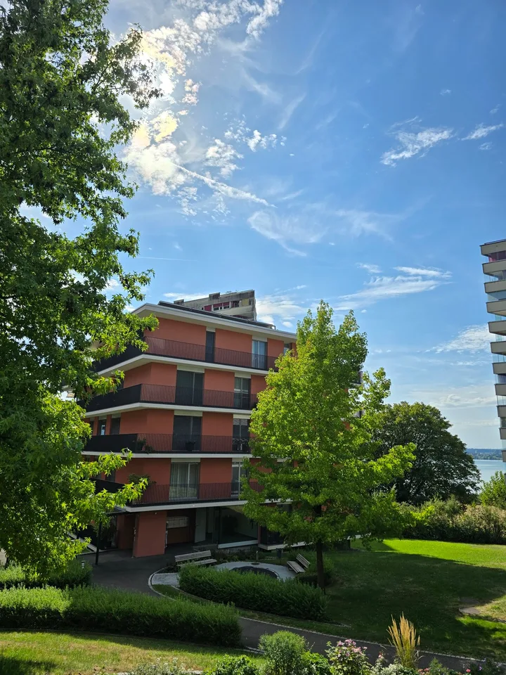 4.5-Zimmerwohnung mit Panoramablick auf See und Berge
