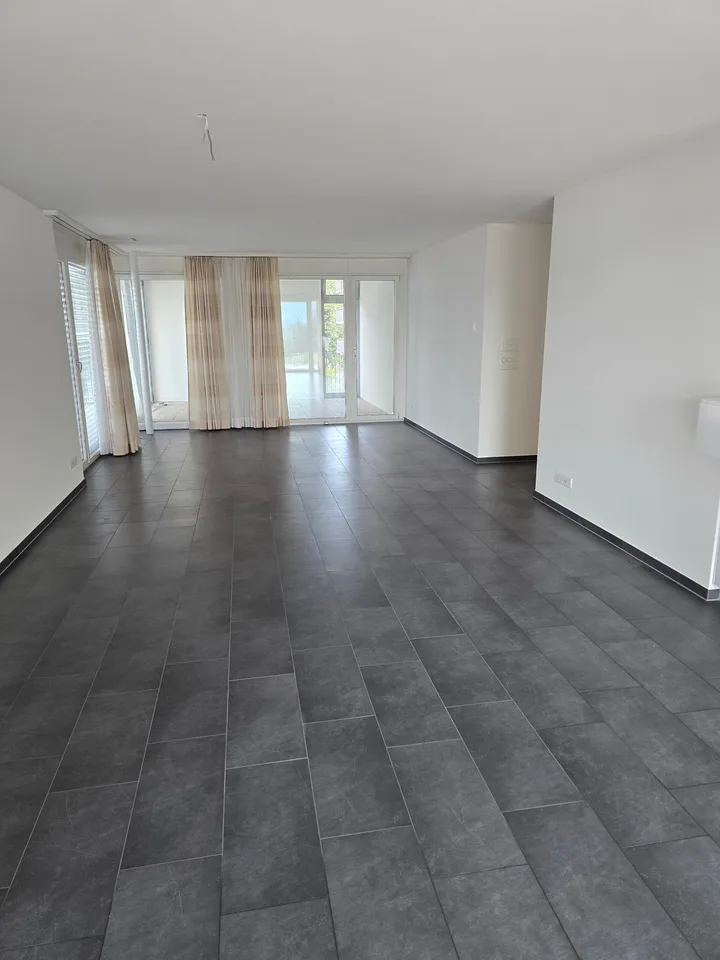 4.5-Zimmerwohnung mit Panoramablick auf See und Berge