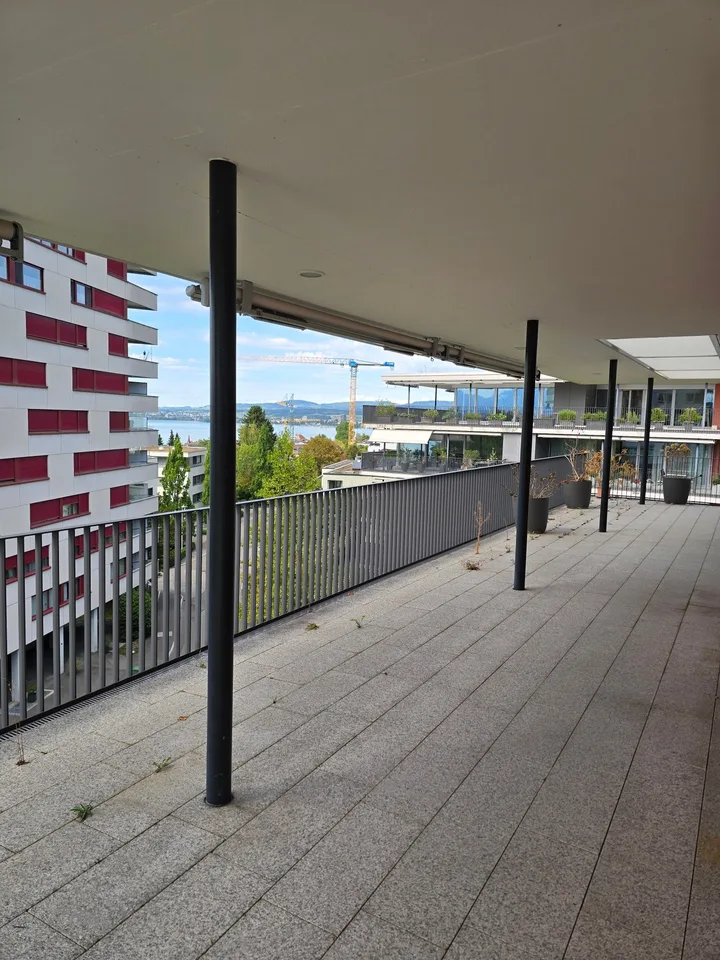 4.5-Zimmerwohnung mit Panoramablick auf See und Berge