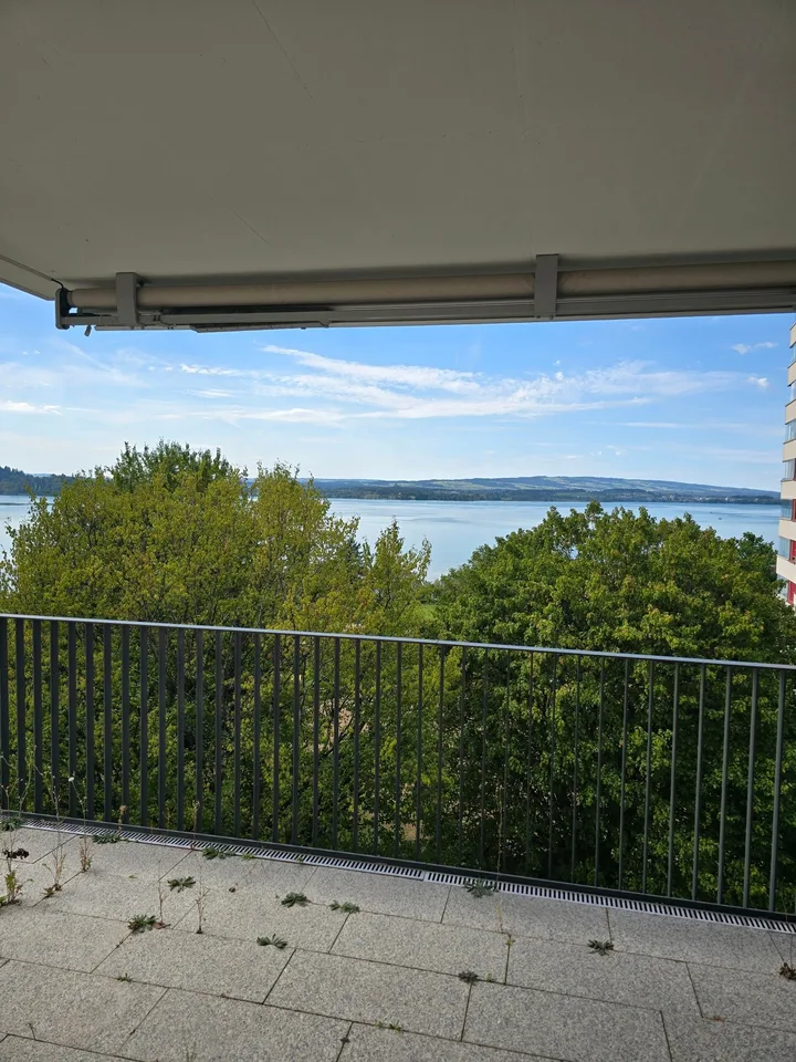 4.5-Zimmerwohnung mit Panoramablick auf See und Berge