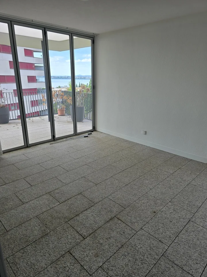 4.5-Zimmerwohnung mit Panoramablick auf See und Berge