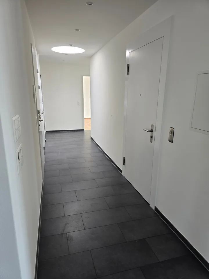 4.5-Zimmerwohnung mit Panoramablick auf See und Berge