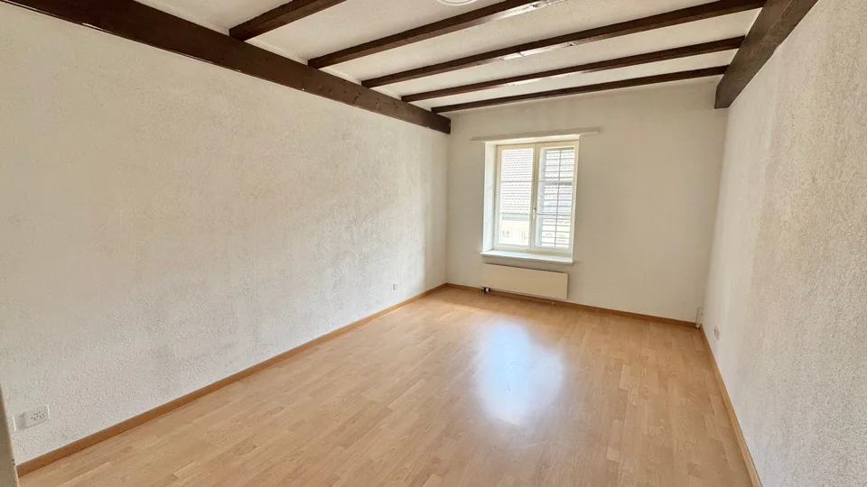 Delizioso appartamento di 3,5 locali in un edificio storico a Zurzach – disponibile immediatamente!