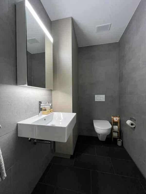 After First Occupancy - Modern 4.5-Room Attic Apartment in the Heart of Uffikon