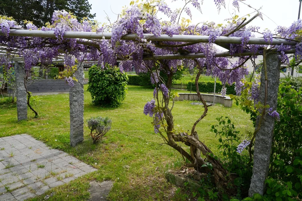 6½-Zimmer-Einfamilienhaus modern renoviert – Foto 5 von 5