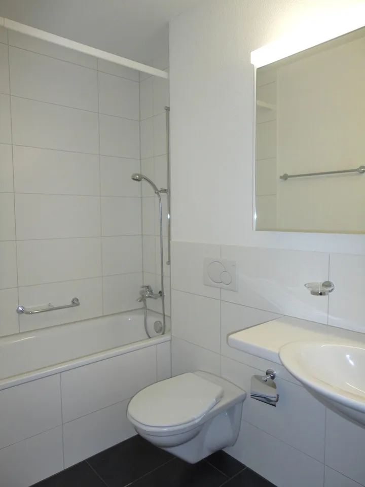 3.5 Zimmerwohnung in Oberengstringen