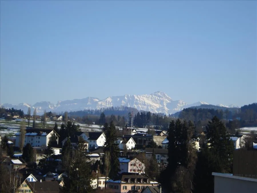 Modern wohnen mit Säntisblick in Uzwil