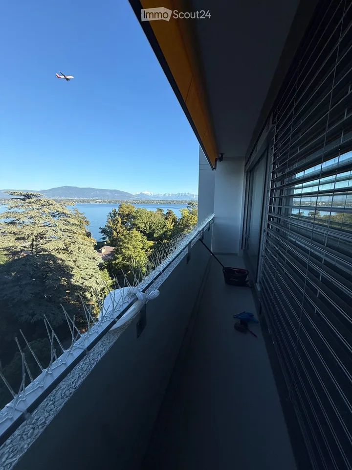 2.5 rooms for rent - 7th floor with magnificent lake view