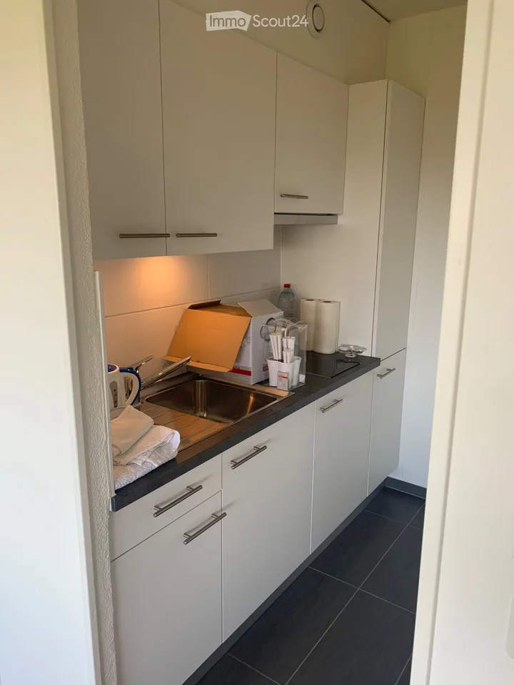 2.5 rooms for rent - 7th floor with magnificent lake view
