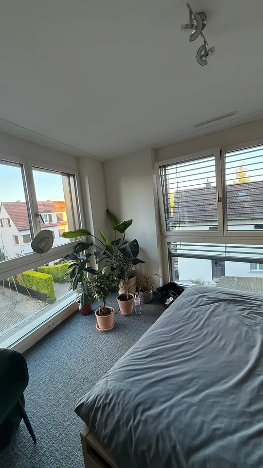 WG-Zimmer in Zürich