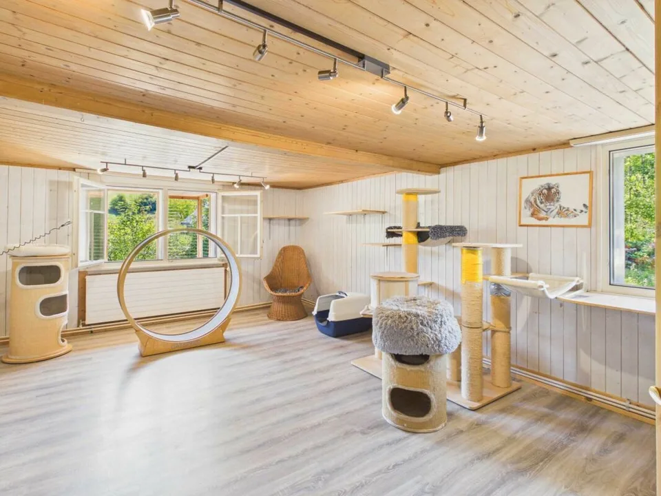 Casa con grande biotopo, garage e due edifici polivalenti – foto 13 di 15