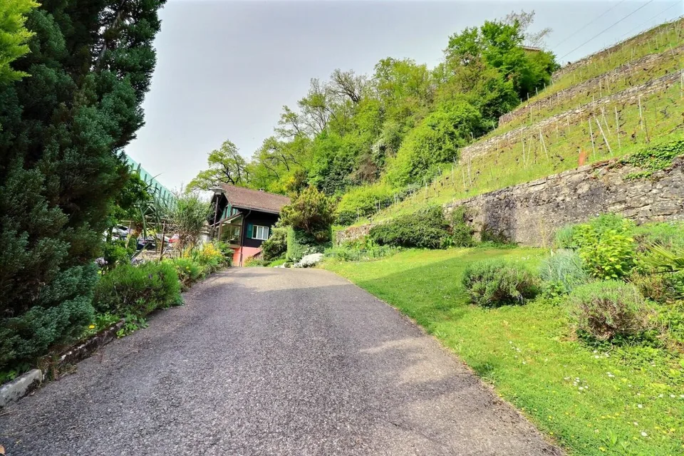 RESERVE - Grundstück mit großem Potenzial - Villeneuve – Foto 7 von 33