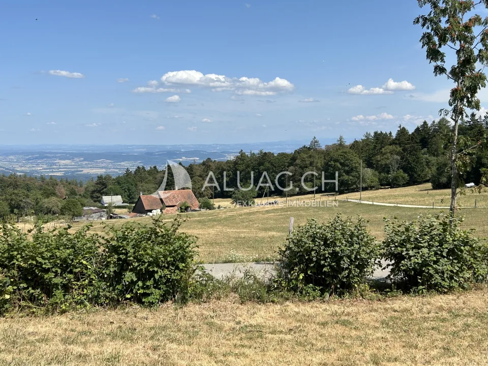 RUHE UND NATUR - ERHOLUNG PUR .......UND MEHR!! – Foto 6 von 8