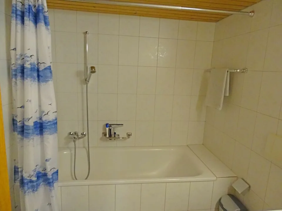 Spacious and charming 1-bedroom apartment