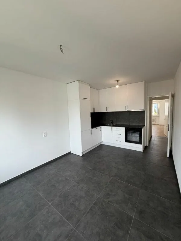 Appartamento di 3,5 locali (App. 1033/12) Balerna