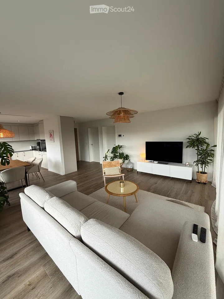 Apartment to renovate