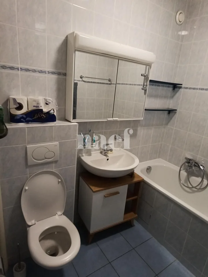 Spacieux appartement de 6.5 pièces au coeur de Champel – Foto 22 von 22