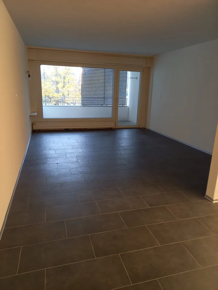 Appartamento di 1 1/2 locali in una zona tranquilla