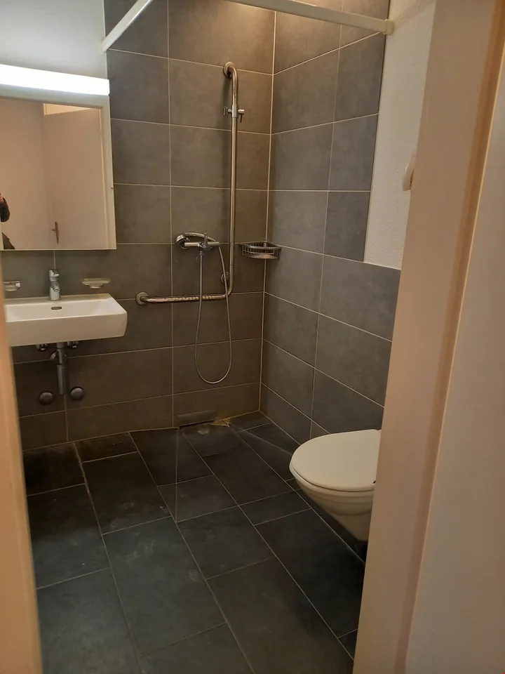 Appartamento di 1 1/2 locali in una zona tranquilla