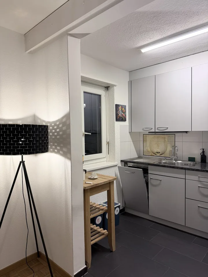 2½ ZIMMER-MAISONETTEWOHNUNG IN ZÜRICH - KREIS 8 SEEFELD/MÜHLEBACH, MÖB – foto 6 di 20