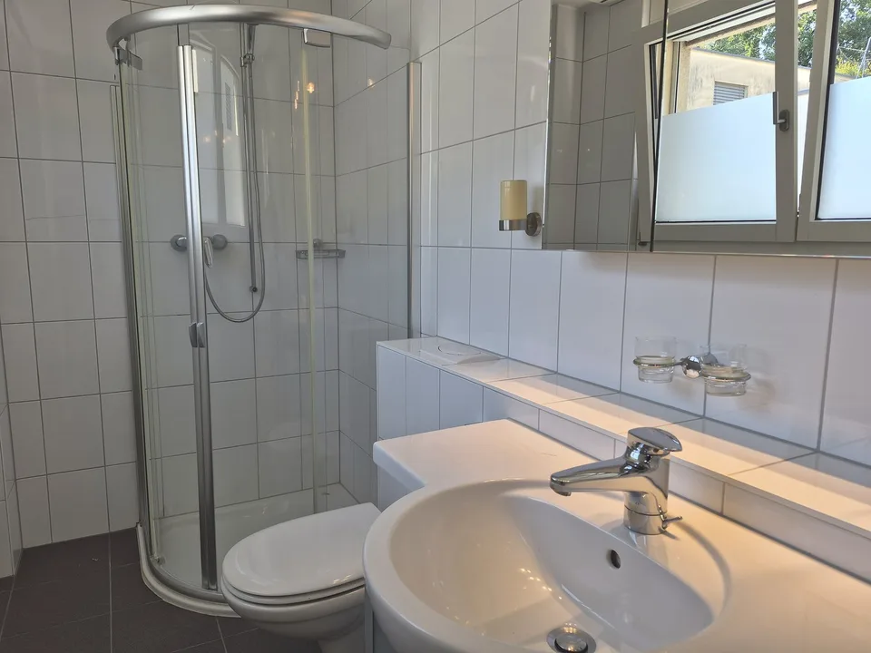 4,5 Zimmer-Reiheneckhaus mit unverbaubarer Aussicht am Sonnenhang von Liestal – foto 7 di 8
