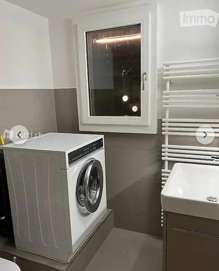 Charmante 2.5-Zimmer-Wohnung in Brittern