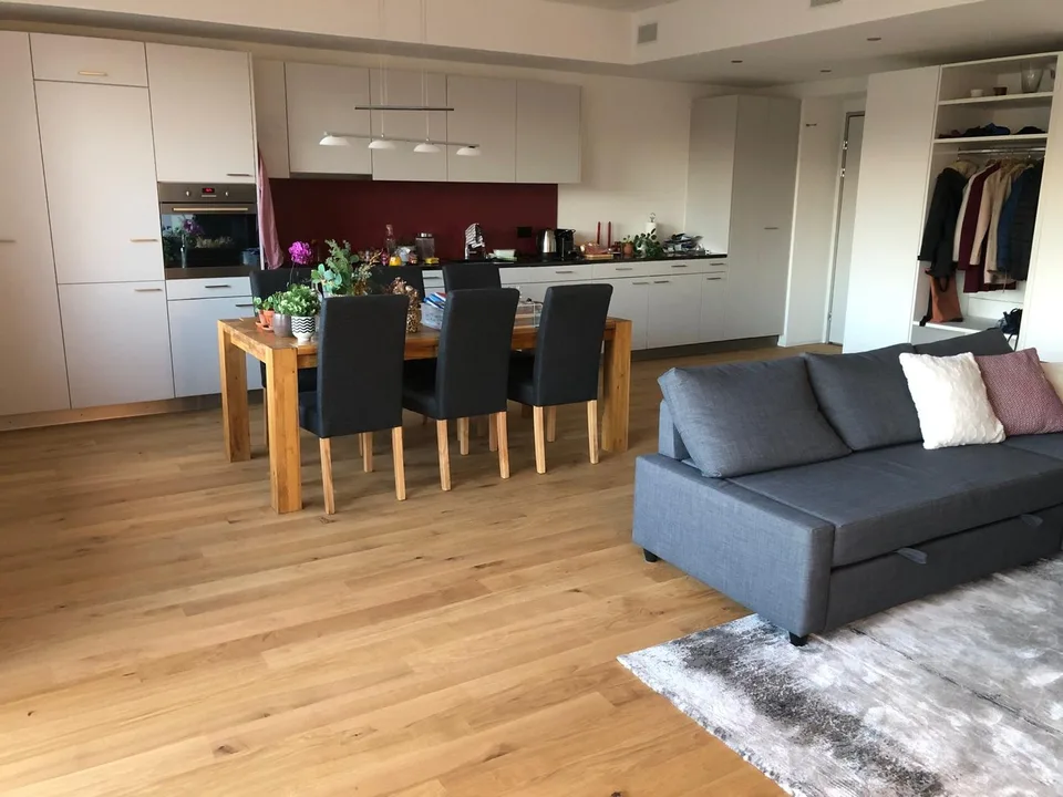 Grande appartamento loft di 2,5 locali in affitto