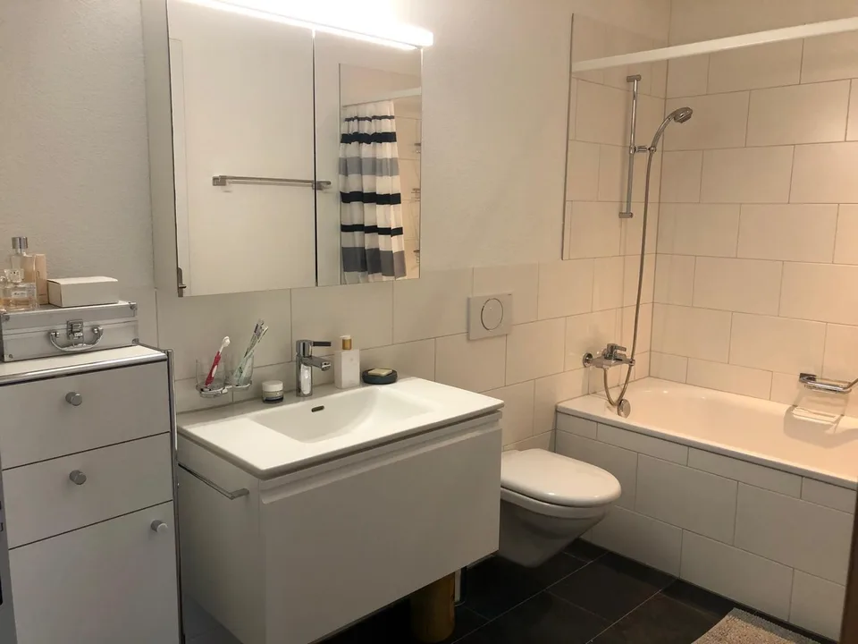 Grande appartamento loft di 2,5 locali in affitto