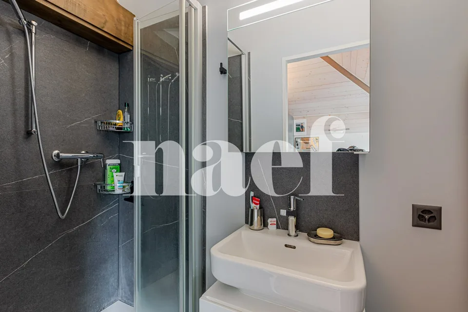 Élégante townhouse rénovée au coeur de Troinex – photo 12 sur 12