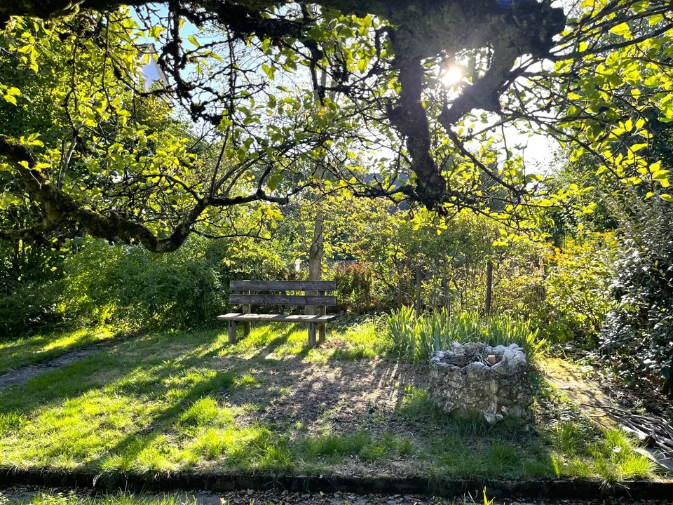 Zwei bis drei Wohneinheiten – Foto 3 von 13