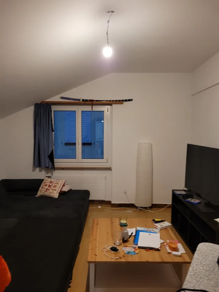 Charmante 5.5-Zimmer-Altbauwohnung in Tamins – renoviert und ruhig gelegen