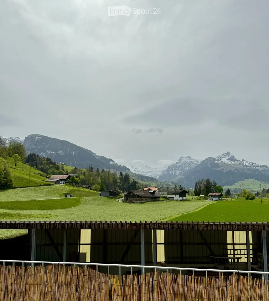 Room in shared apartment (2-person shared apartment) in bright, modern apartment (near Spiez)