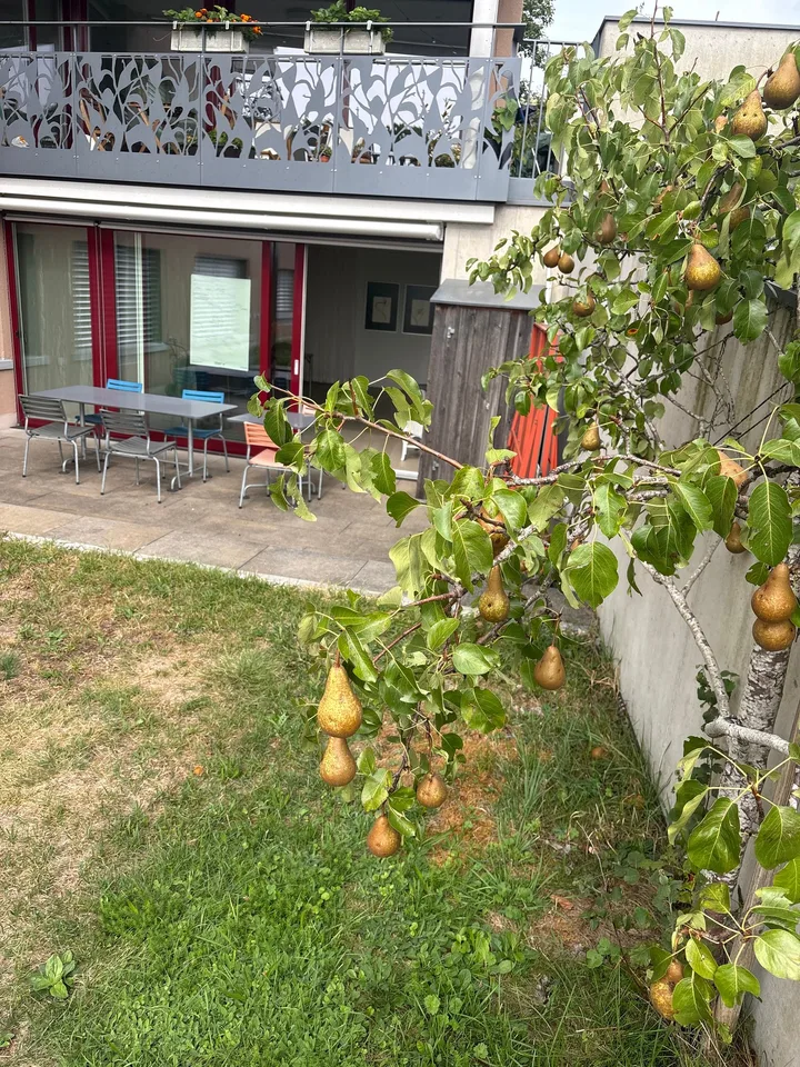 Möblierte 2.5-Zimmer-Wohnung mit Aussicht auf Zürichsee im Kreis 7 – Foto 21 von 21