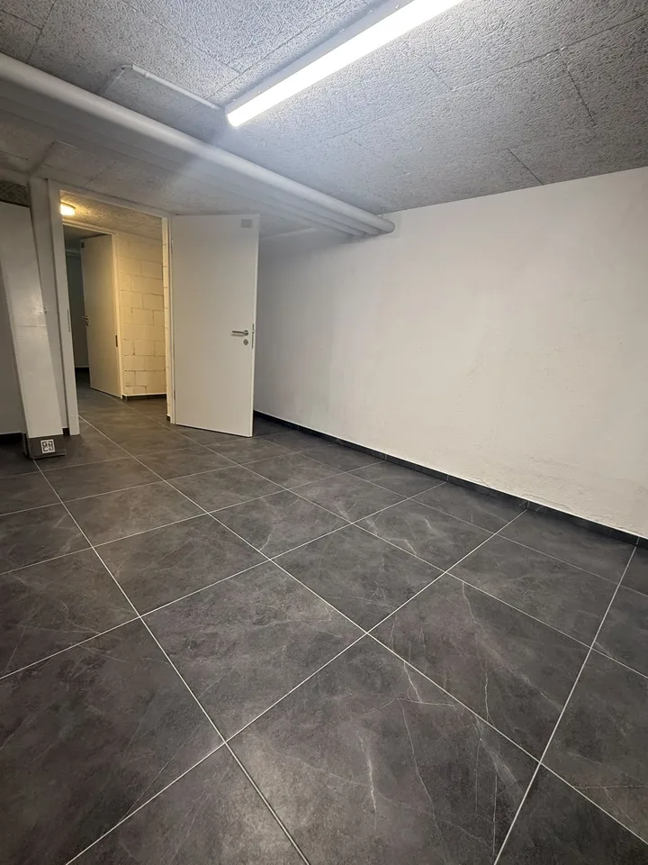 NOUVELLES salles de loisirs à louer à Dottikon – photo 6 sur 8