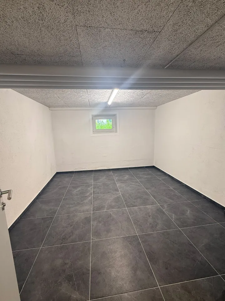 NOUVELLES salles de loisirs à louer à Dottikon – photo 5 sur 8