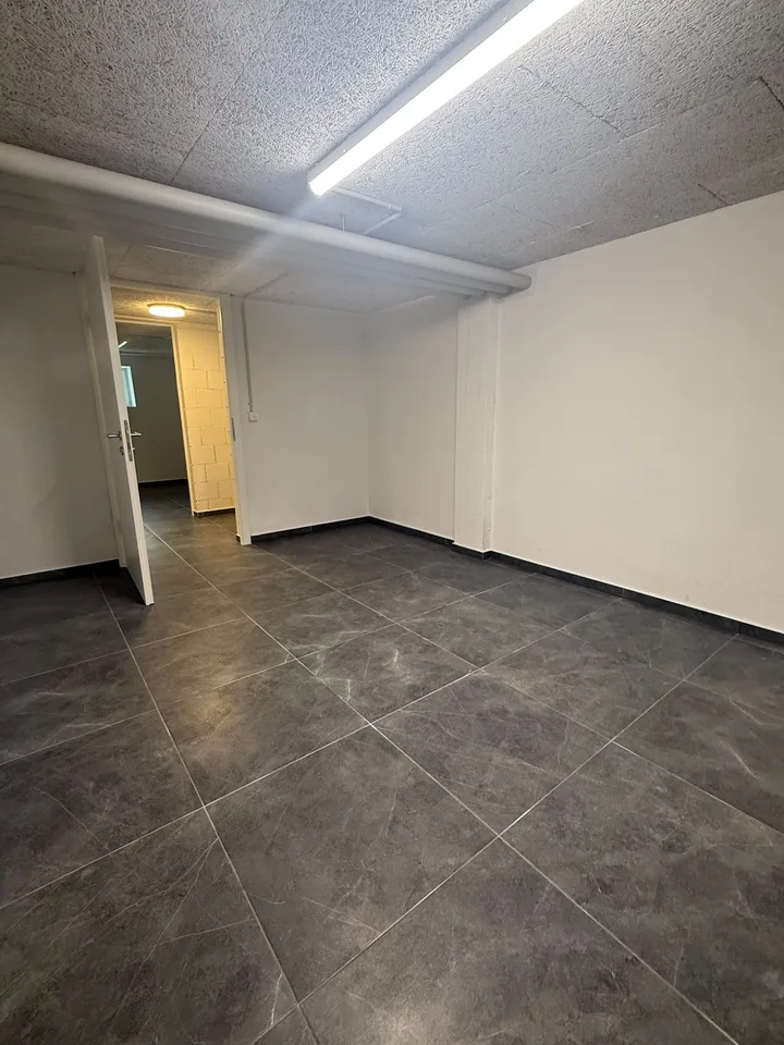 NOUVELLES salles de loisirs à louer à Dottikon – photo 7 sur 8