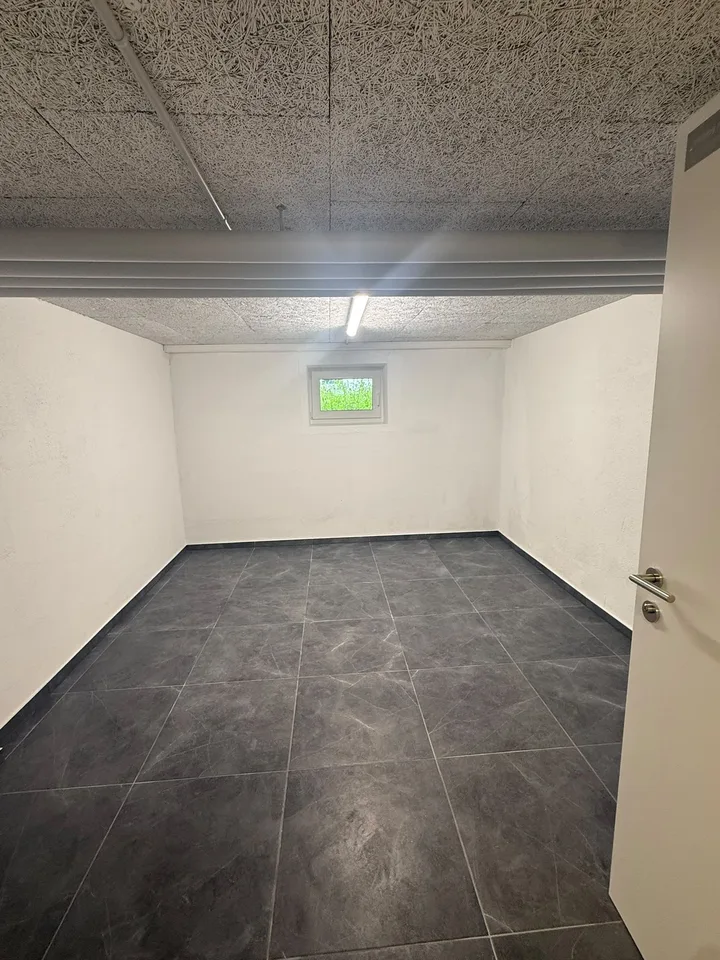 NOUVELLES salles de loisirs à louer à Dottikon – photo 8 sur 8