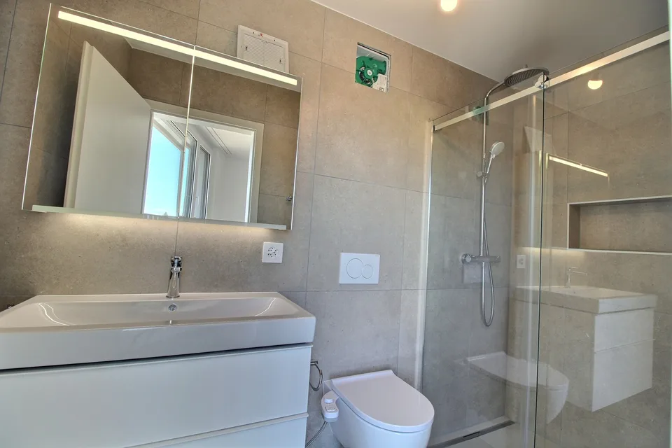 Magnificent new 4.5-room apartments in Lentigny