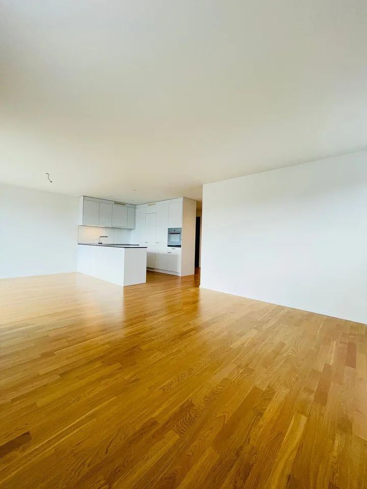 TOP MODERN 4.5-ROOM APARTMENT IN HERZOGENBUCHSEE